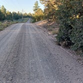 Review photo of Forest Service Road 328 Dispersed by Guy G., September 23, 2023