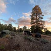 Review photo of Forest Service Road 328 Dispersed by Ty C., April 12, 2026