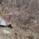 Review photo of Forest Service Road 328 Dispersed by MrCopperhead1974 , April 12, 2026