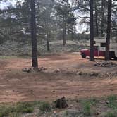 Review photo of Forest Service Road 328 Dispersed by MrCopperhead1974 , April 12, 2026