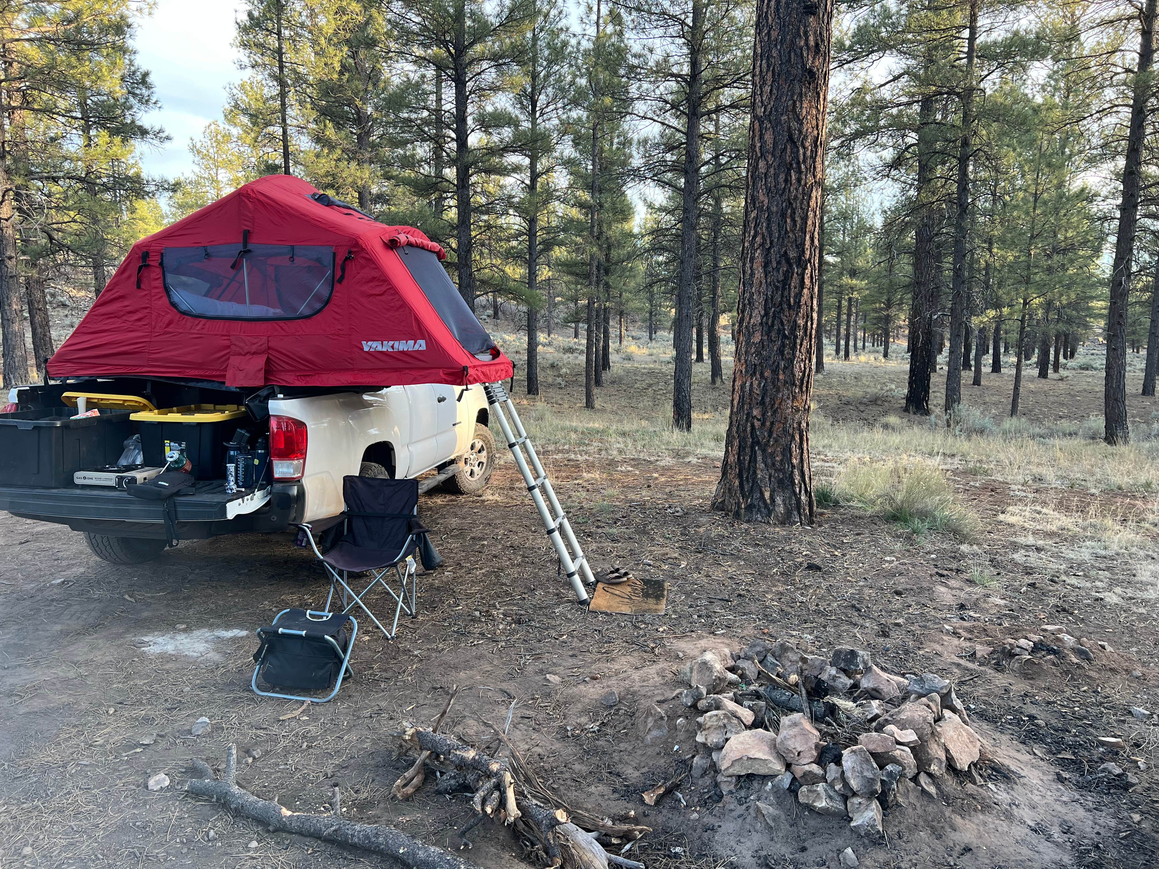 victor F.'s photo at Forest Service Road 328 Dispersed near Grand Canyon National Park