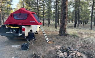 victor F.'s photo at Forest Service Road 328 Dispersed in Arizona