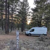 Review photo of Forest Service Road 328 Dispersed by Vidalia S., March 10, 2026