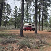 Review photo of Forest Service Road 328 Dispersed by MrCopperhead1974 , April 12, 2026