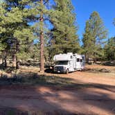 Review photo of Forest Service Road 328 Dispersed by Vincent R., August 9, 2025