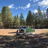 Review photo of Forest Service Road 328 Dispersed by Emma C., October 4, 2025