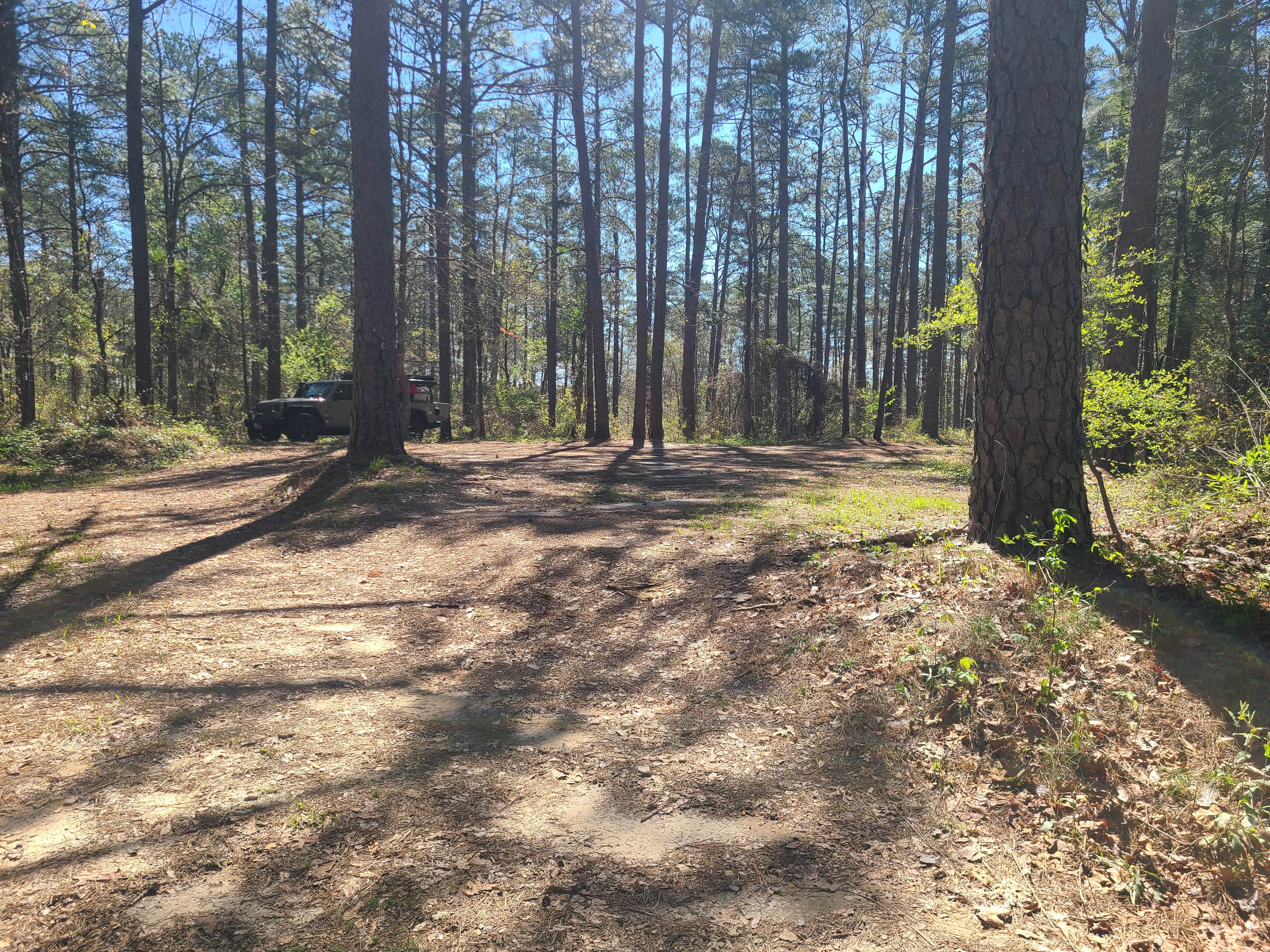 Camper-submitted photo at Forest Service Road 526 near Jackson, MS