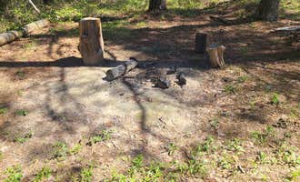 Camping near Roosevelt State Park Campground: Forest Service Road 526, Raleigh, Mississippi
