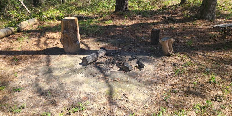 Camper submitted image from Forest Service Road 526