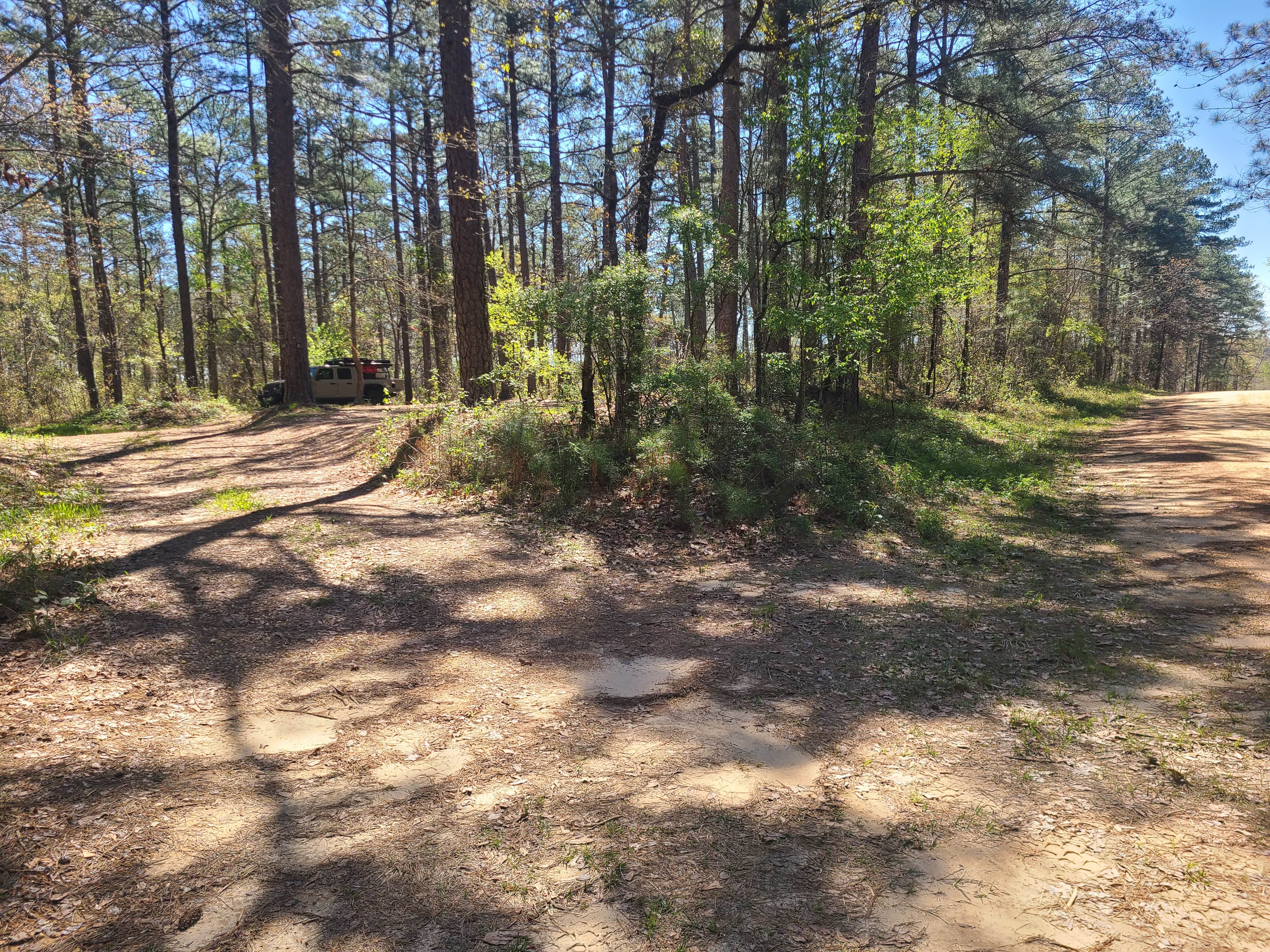 Camper-submitted photo at Forest Service Road 526 near Jackson, MS