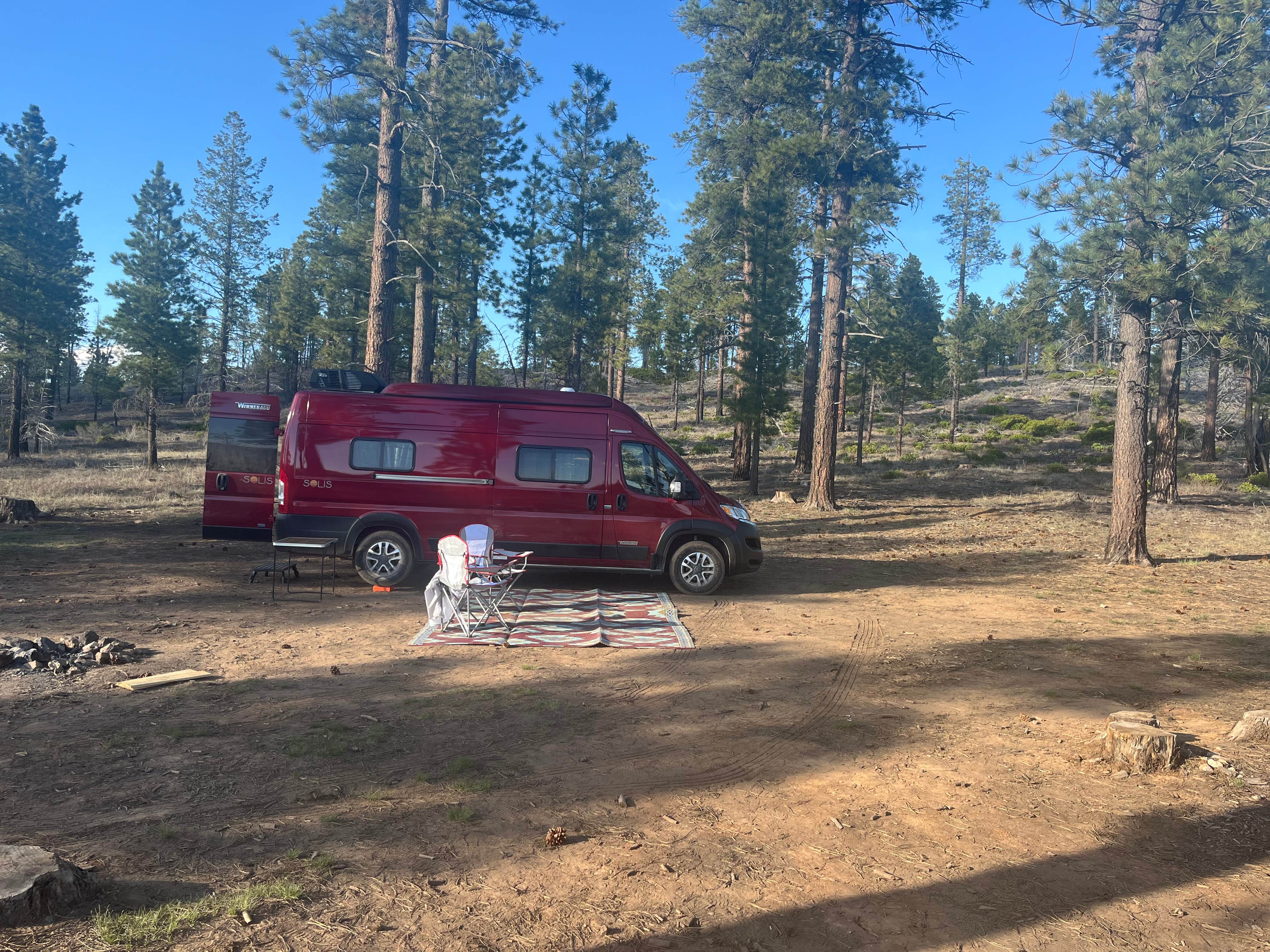 Camper submitted image from Forest With a View - 1
