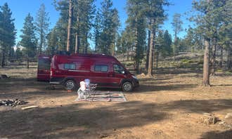 Camping near Uinta Flat Dispersed: Forest With a View, Alton, Utah