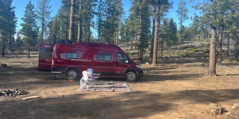Camper submitted image from Forest With a View