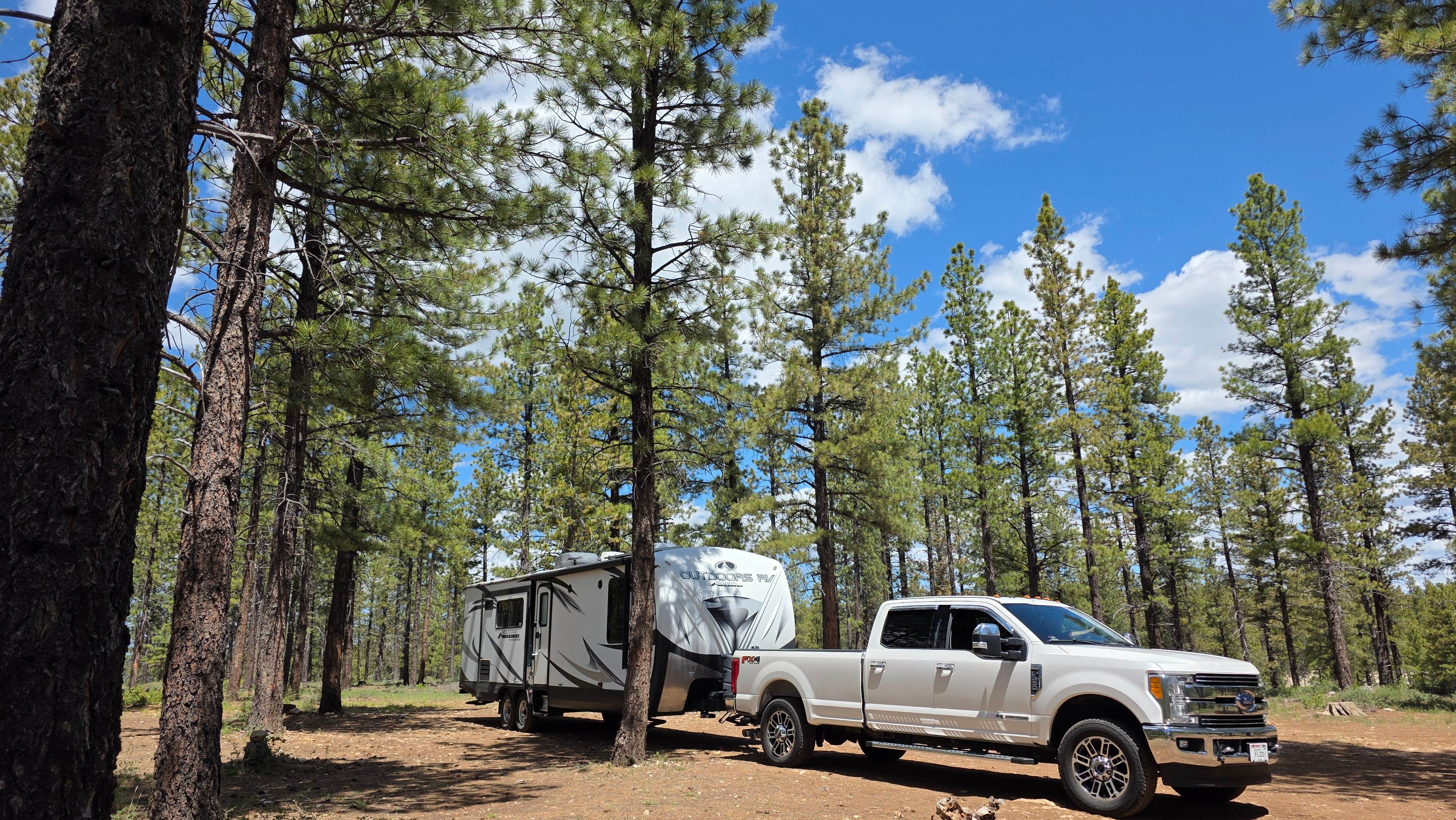Camping near Lava Flat Dispersed Camping Area: Forest With a View, Alton, Utah