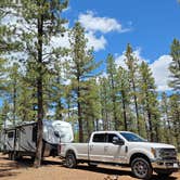 Review photo of Forest With a View by Kathy S., June 1, 2026