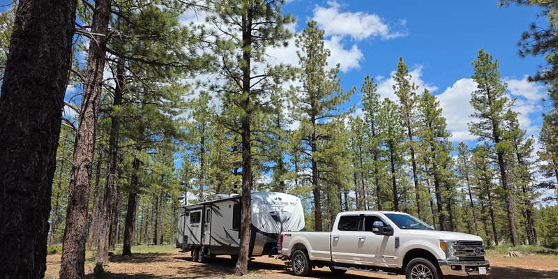 Camper submitted image from Forest With a View