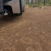 Review photo of Forest With a View by Kathy S., June 1, 2026