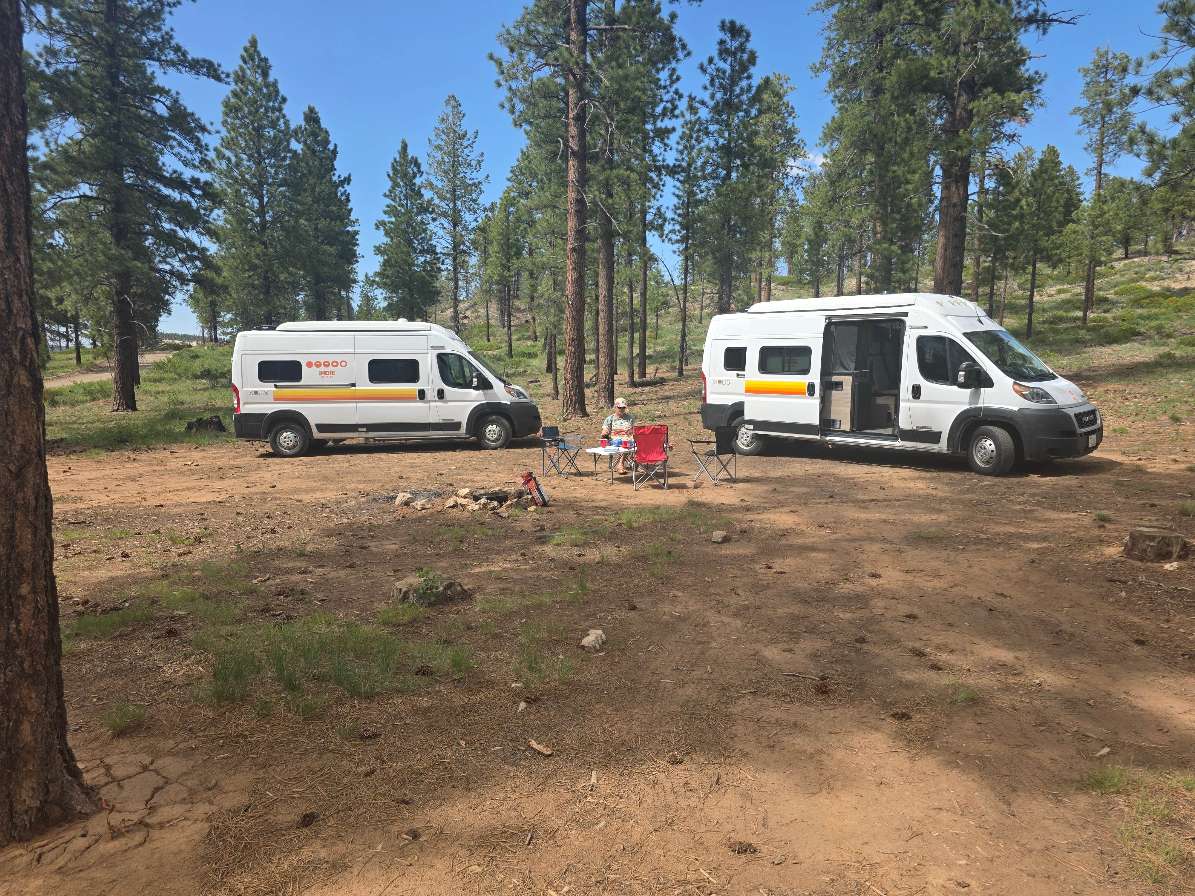 Camper submitted image from Forest With a View - 2