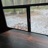 Review photo of Forest With a View by Kathy S., June 1, 2026