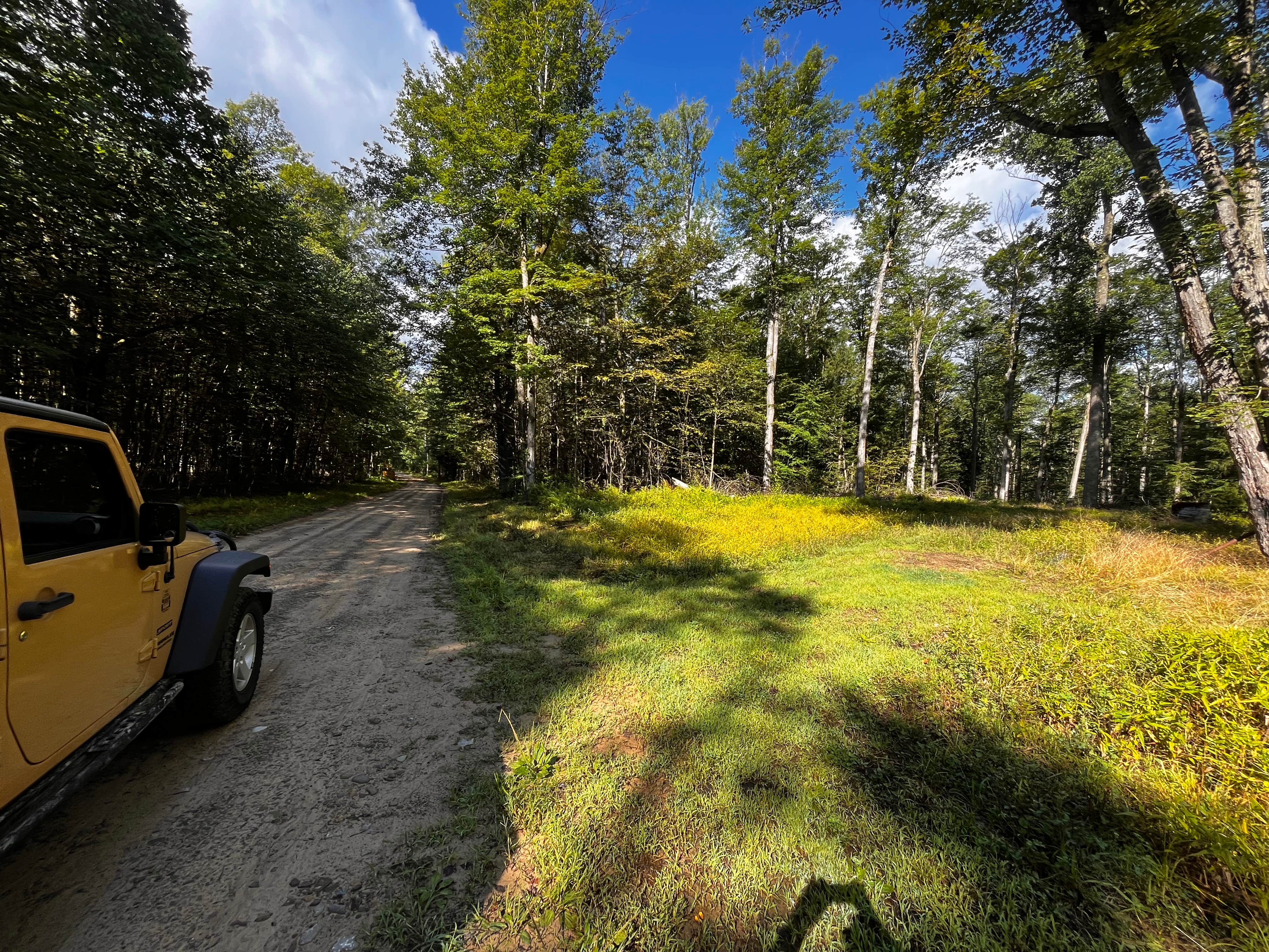 Forestry Road Dispersed Campsite