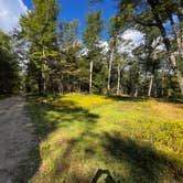 Review photo of Forestry Road Dispersed Campsite by Ian B., August 26, 2024