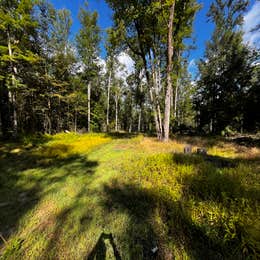 Forestry Road Dispersed Campsite