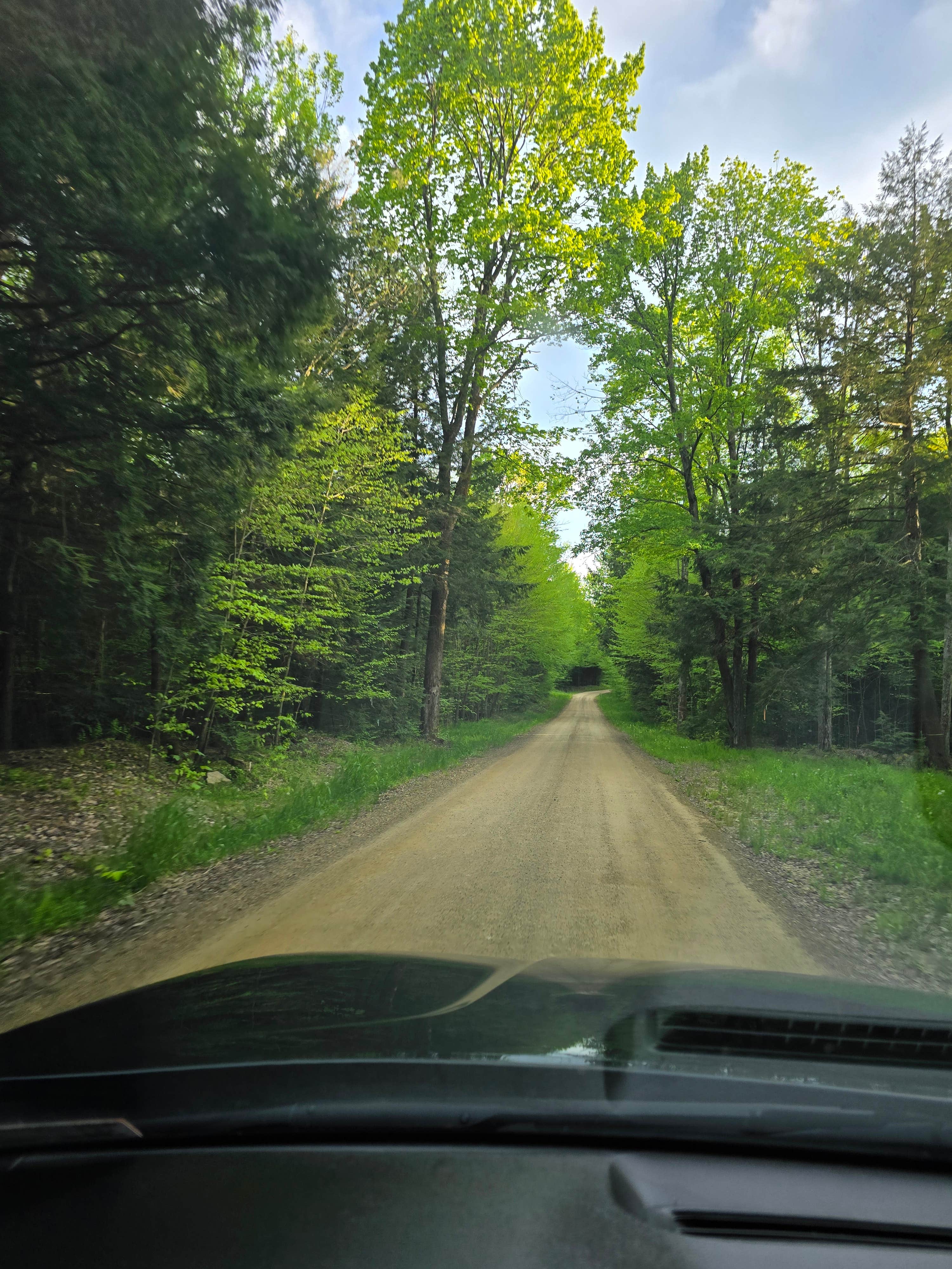 Forestry Road Dispersed Campsite