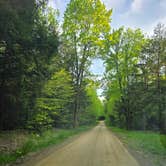 Review photo of Forestry Road Dispersed Campsite by Charles S., May 22, 2026