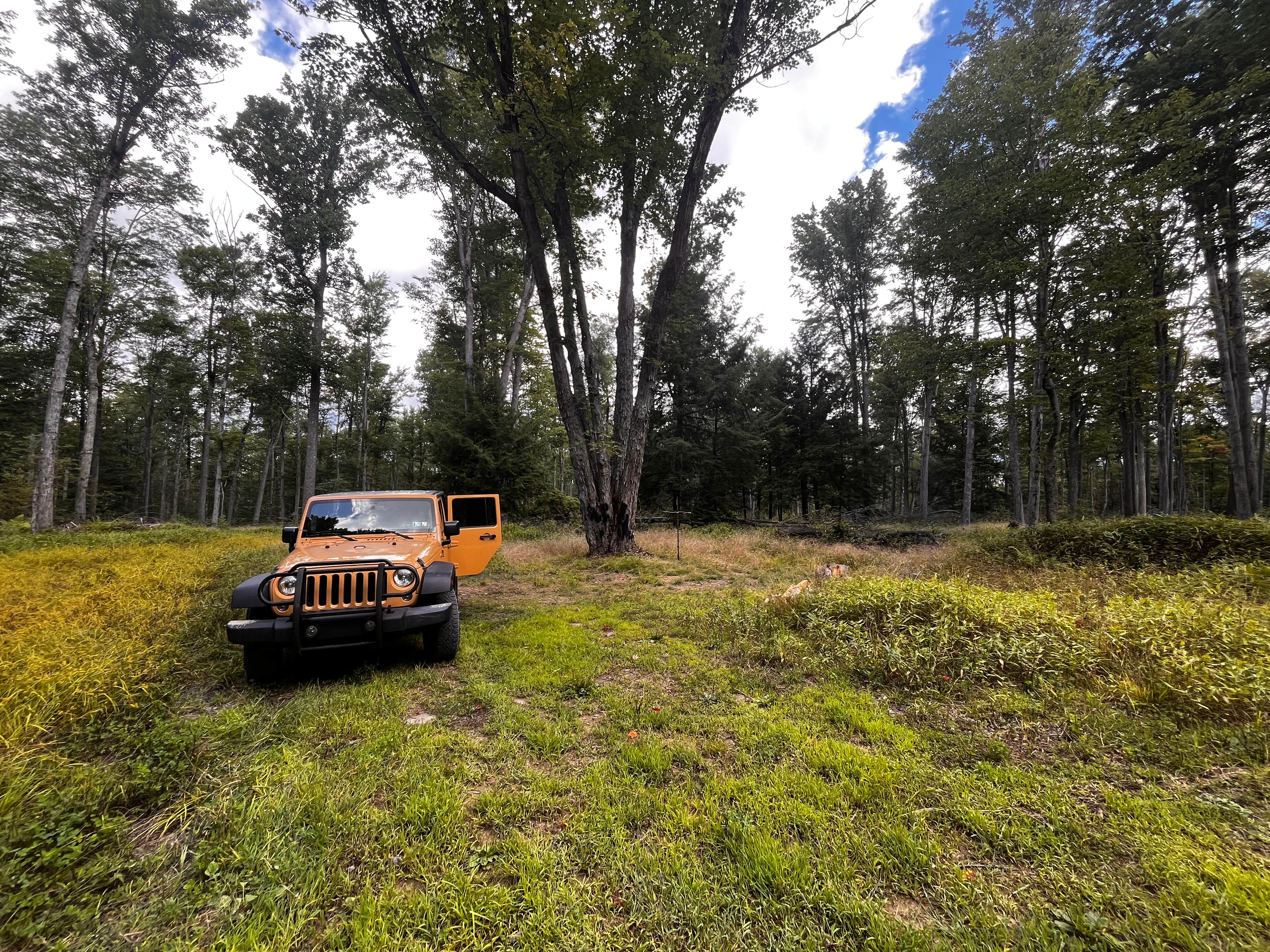 Camper-submitted photo at Forestry Road Dispersed Campsite near Tionesta, PA