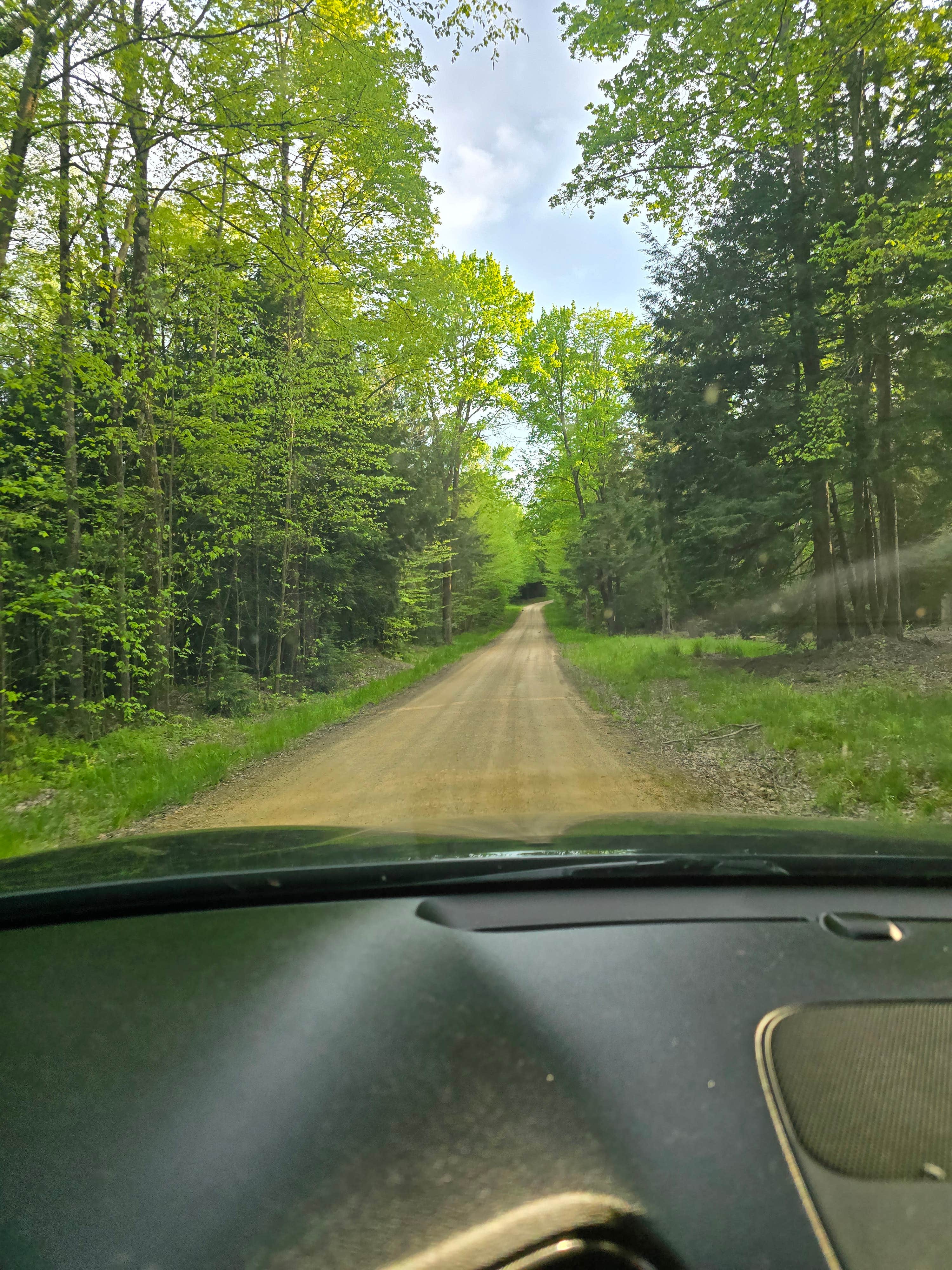 Forestry Road Dispersed Campsite