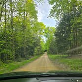 Review photo of Forestry Road Dispersed Campsite by Charles S., May 22, 2026