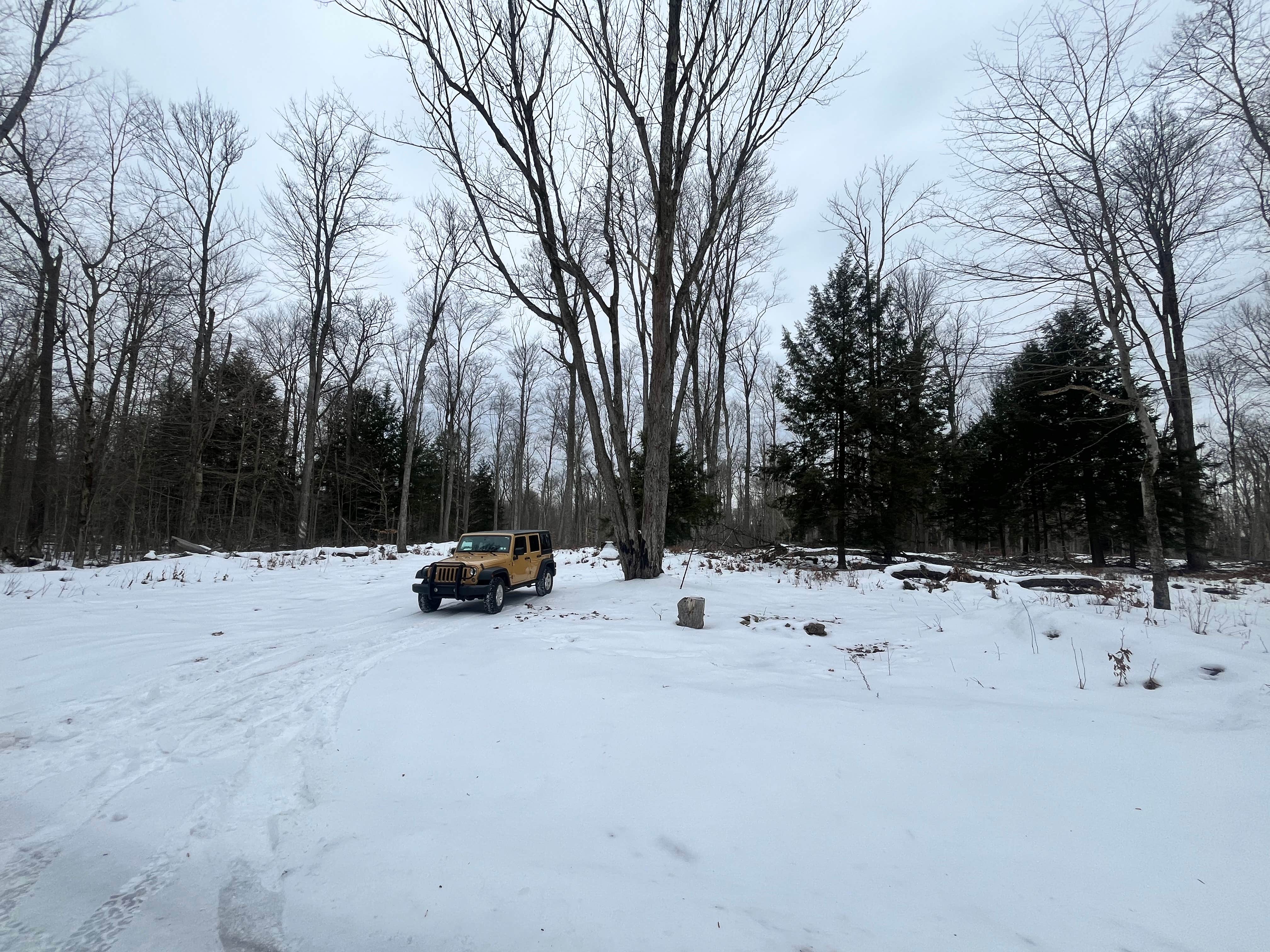 Camper-submitted photo at Forestry Road Dispersed Campsite near Tionesta, PA