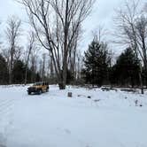 Review photo of Forestry Road Dispersed Campsite by Ian B., February 23, 2025