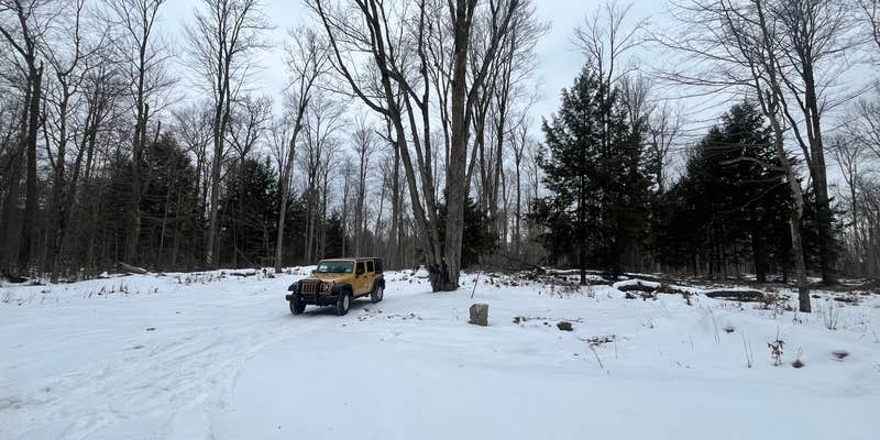 Camper submitted image from Forestry Road Dispersed Campsite