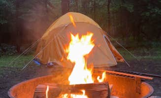 Sara P.'s photo at Forked Lake Campground near Cranberry Lake, NY