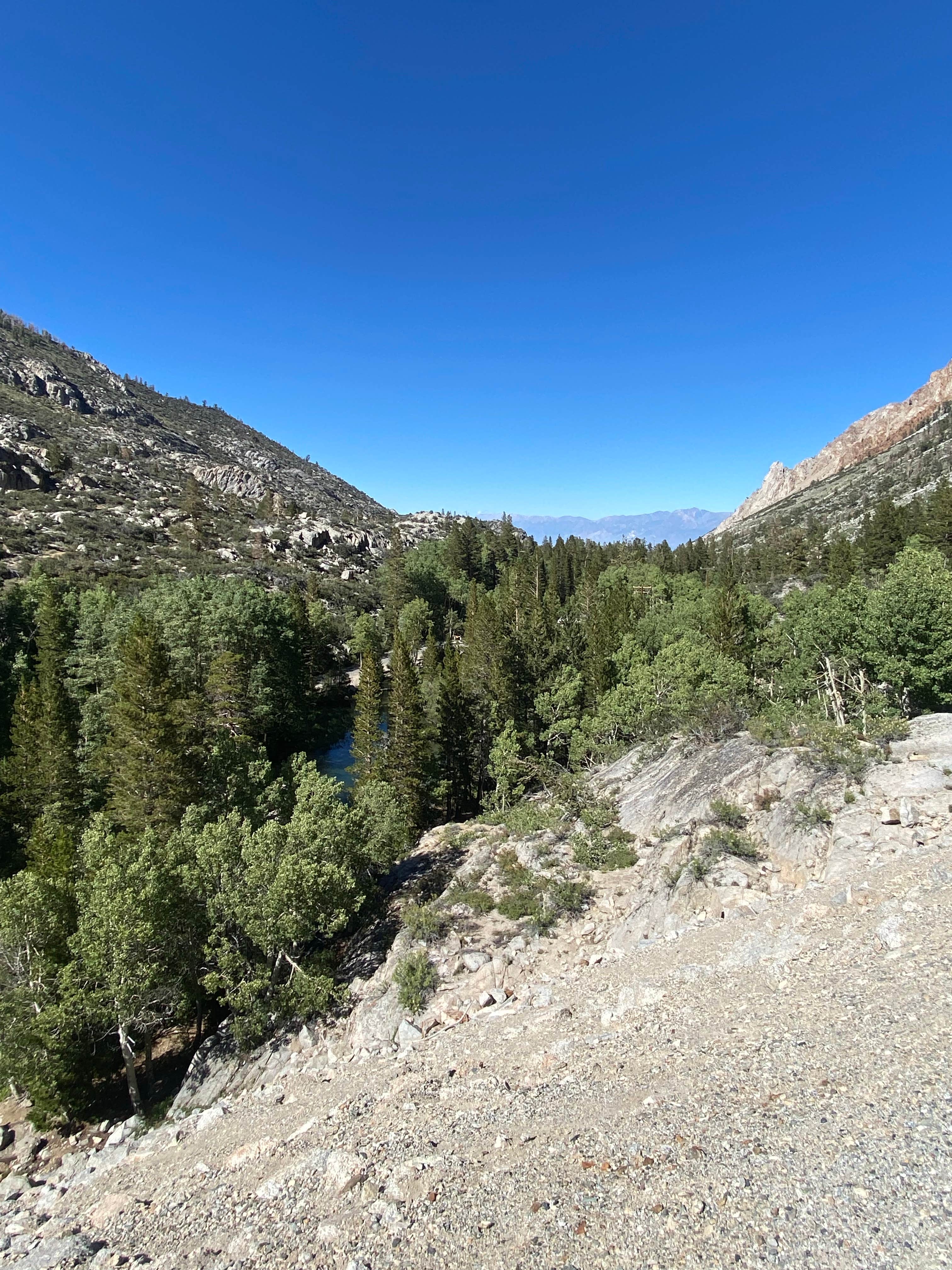 Camper submitted image from Forks Campground (Inyo) — Inyo National Forest - 4