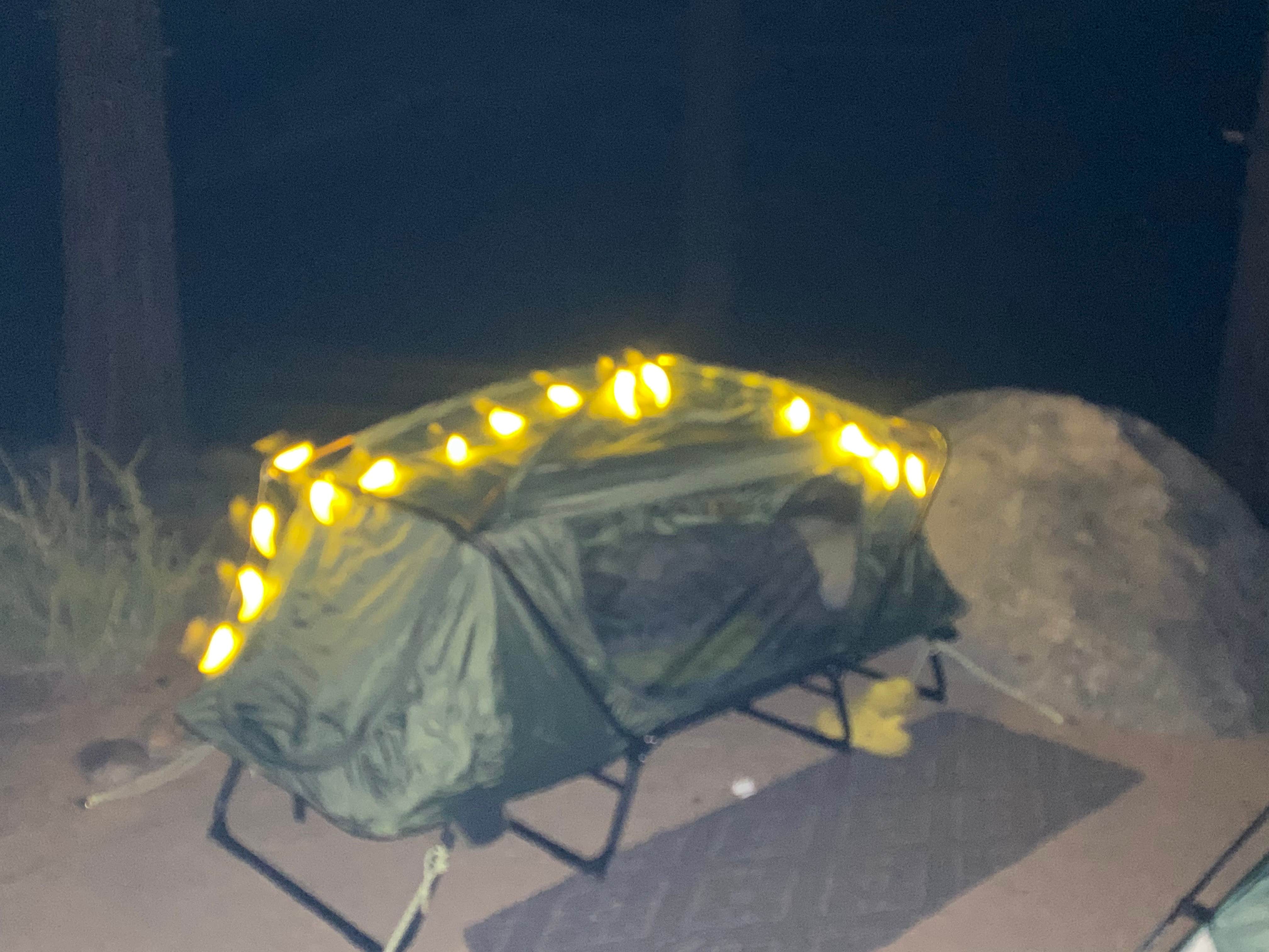 Bronco Billy's photo at Forks Campground (Inyo) — Inyo National Forest near Bishop, CA