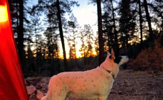 Michael C.'s photo at Forrest Rd near Lincoln National Forest