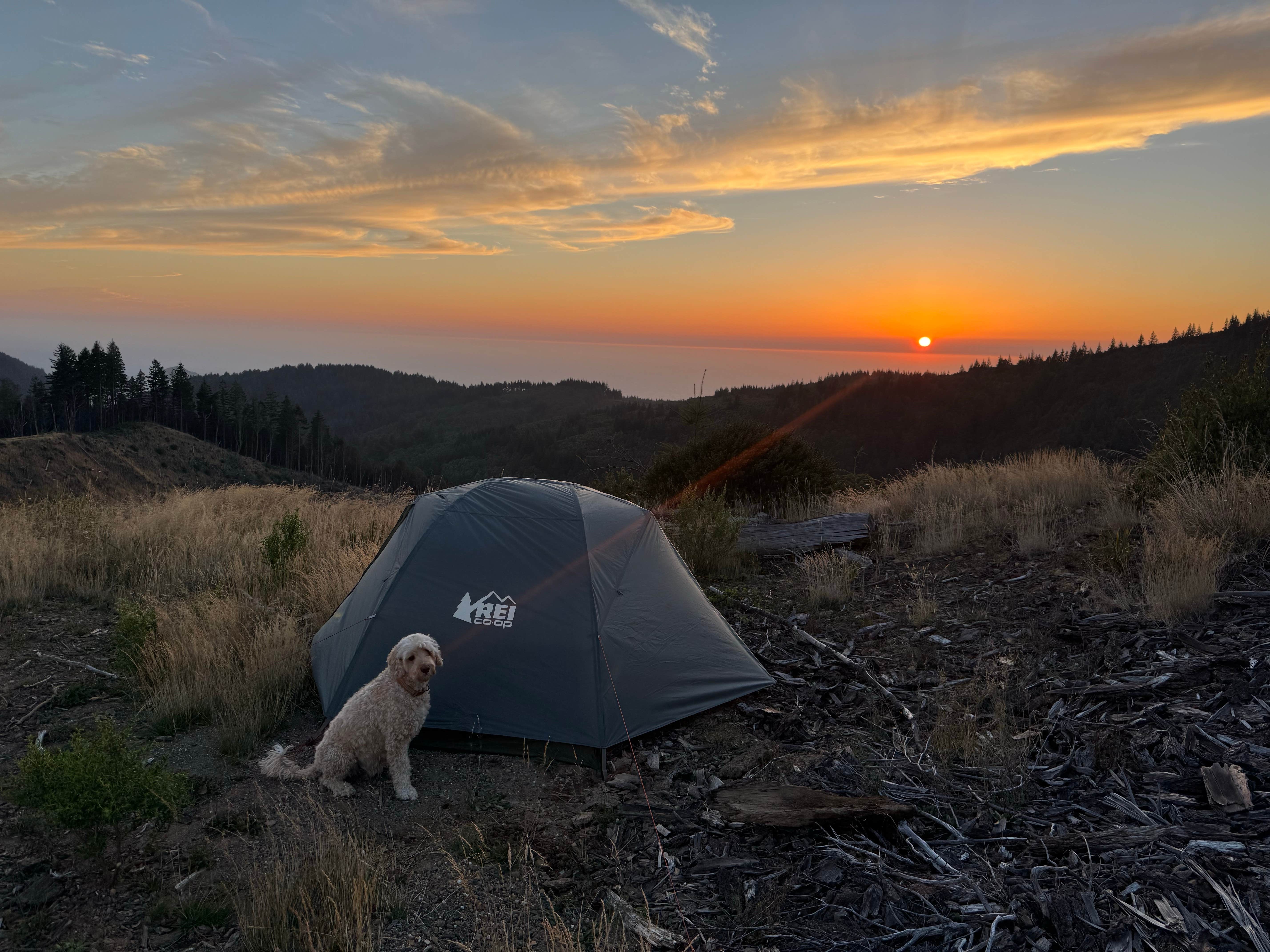 Camping near Butler Bar Campground: Forrest Road 280 near Humbug, Port Orford, Oregon