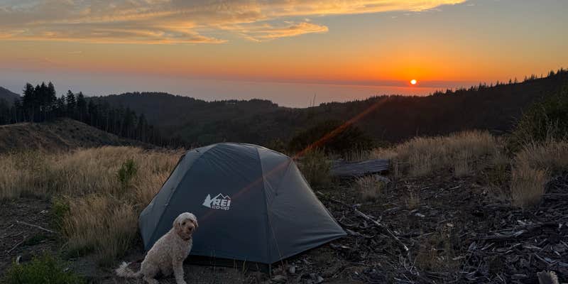 Camper submitted image from Forrest Road 280 near Humbug