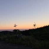 Review photo of Forrest Road 280 near Humbug by Dahlia , June 16, 2026