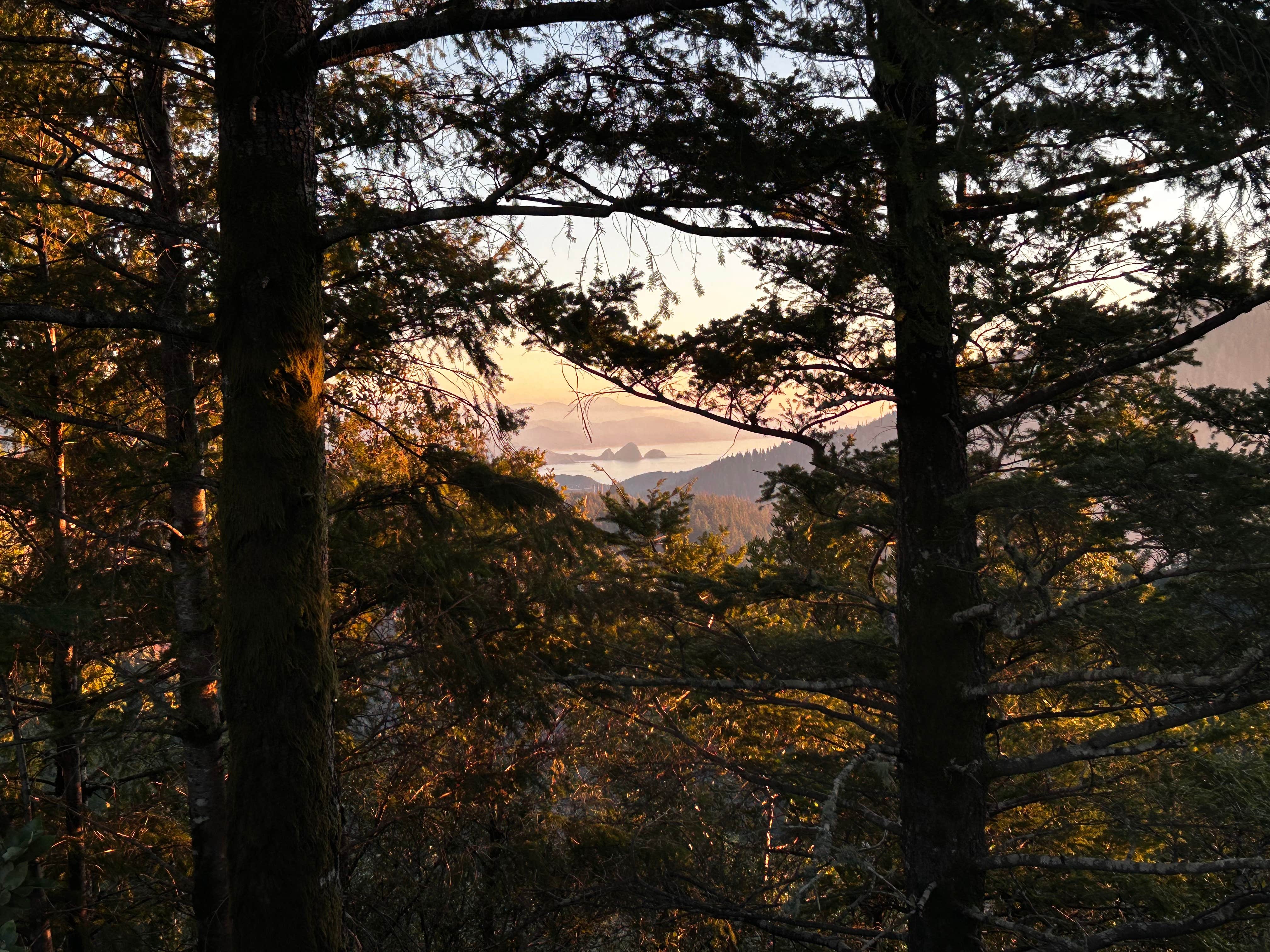 Camper-submitted photo at Forrest Road 280 near Humbug near Gold Beach, OR