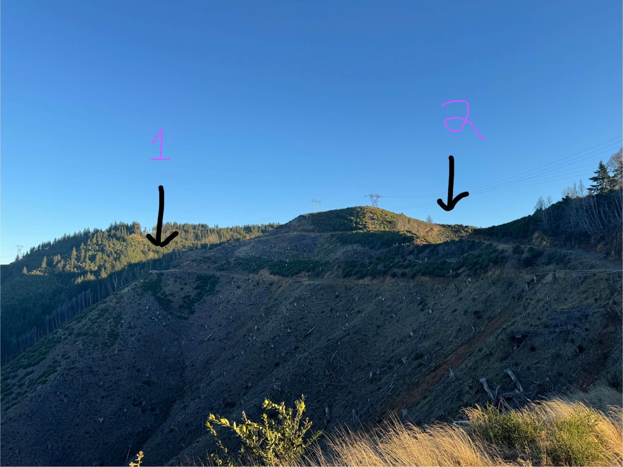 Seth M.'s photo of a dispersed camping area at Forrest Road 280 near Humbug near Agness, OR