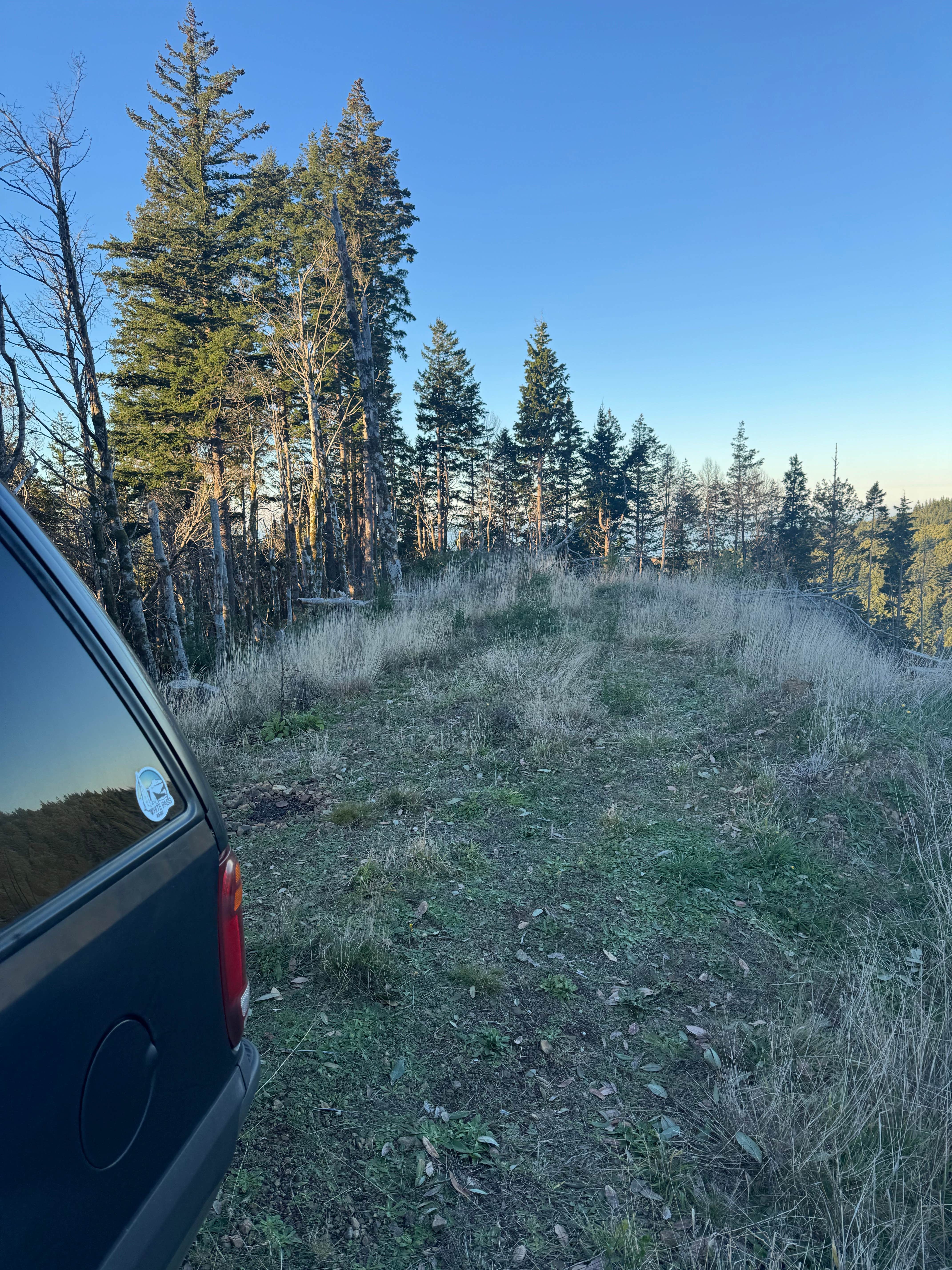 Forrest Road 280 near Humbug