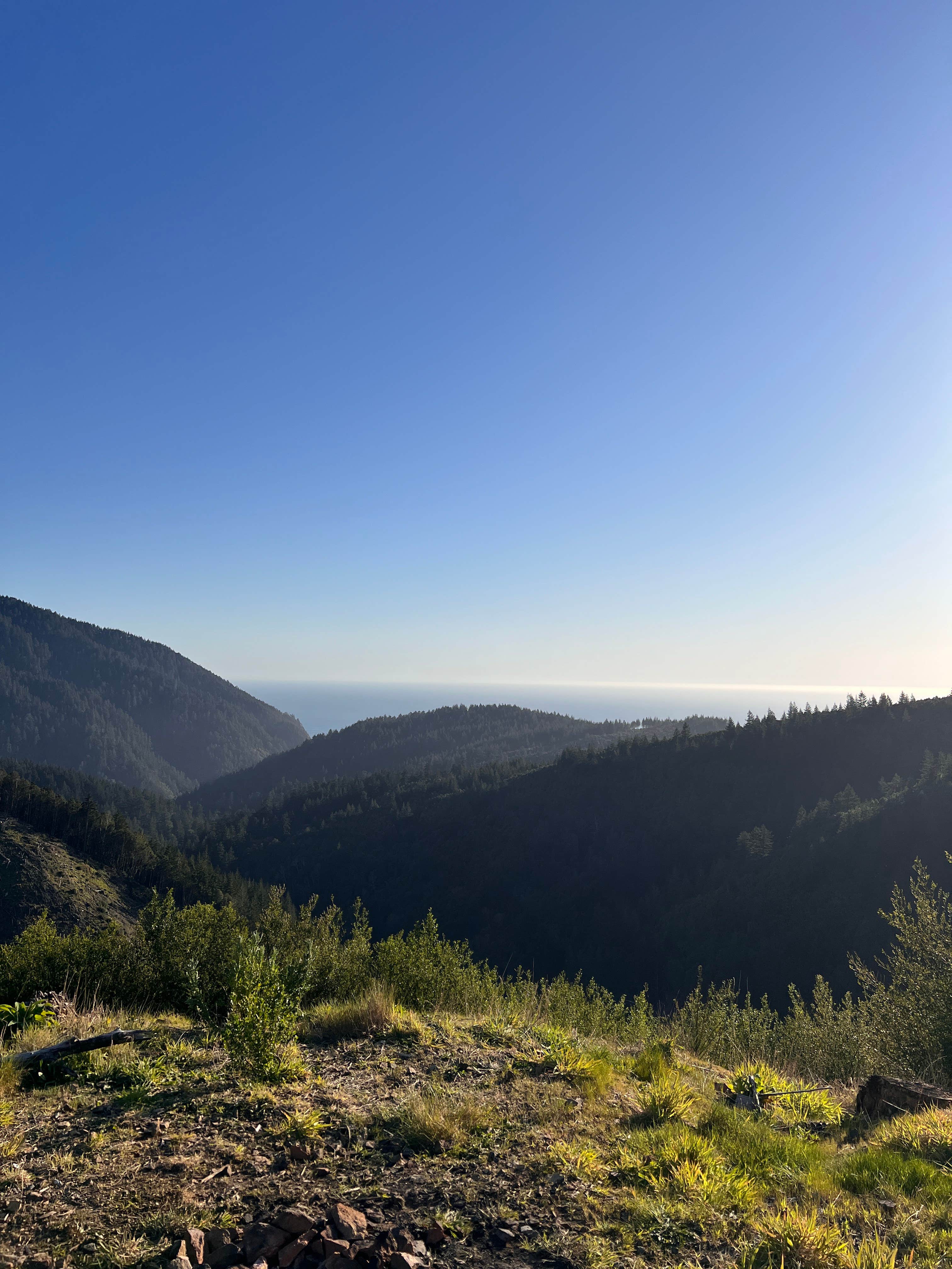 Camper-submitted photo at Forrest Road 280 near Humbug near Gold Beach, OR