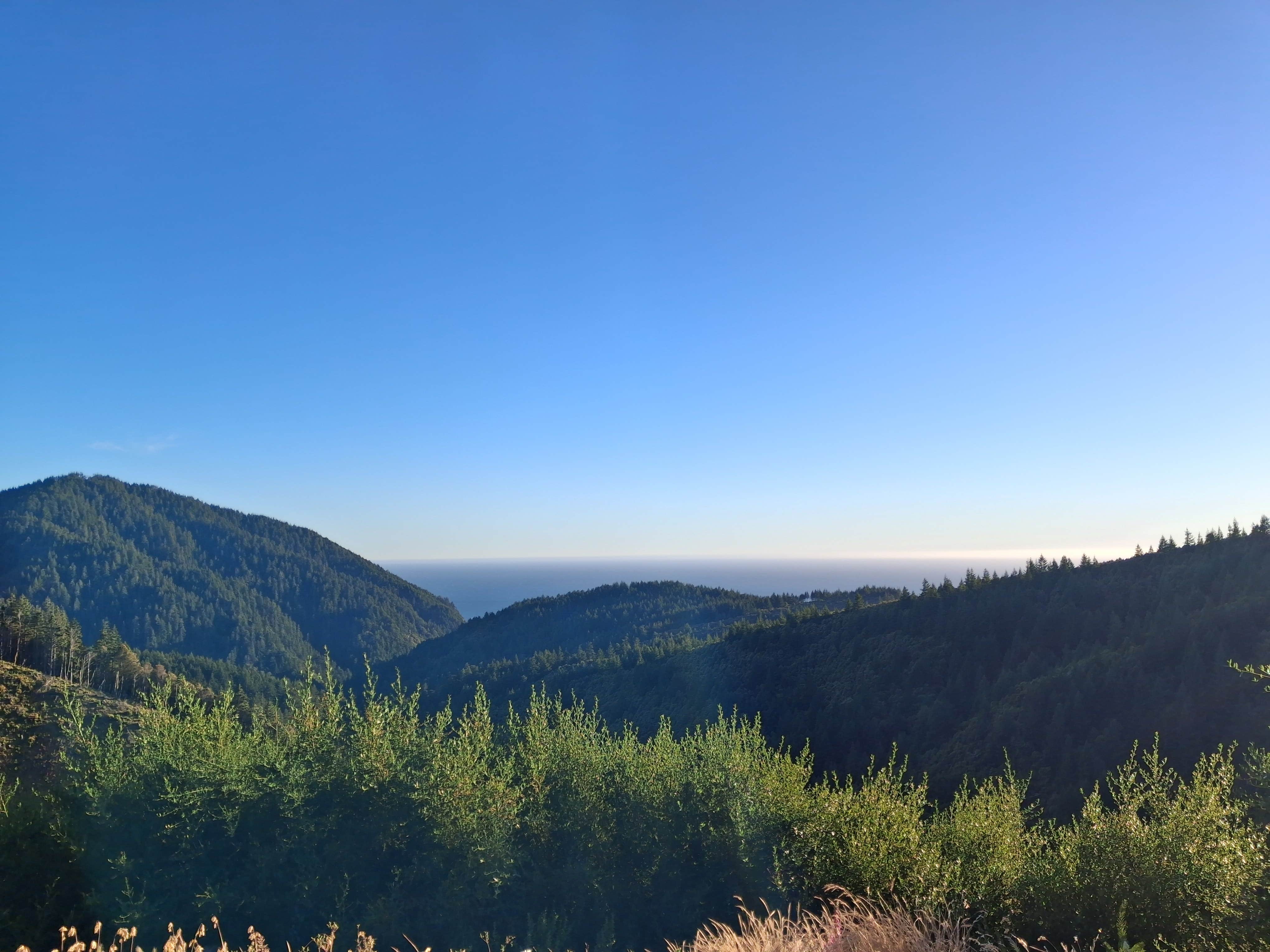 Camper-submitted photo at Forrest Road 280 near Humbug near Coos Bay, OR
