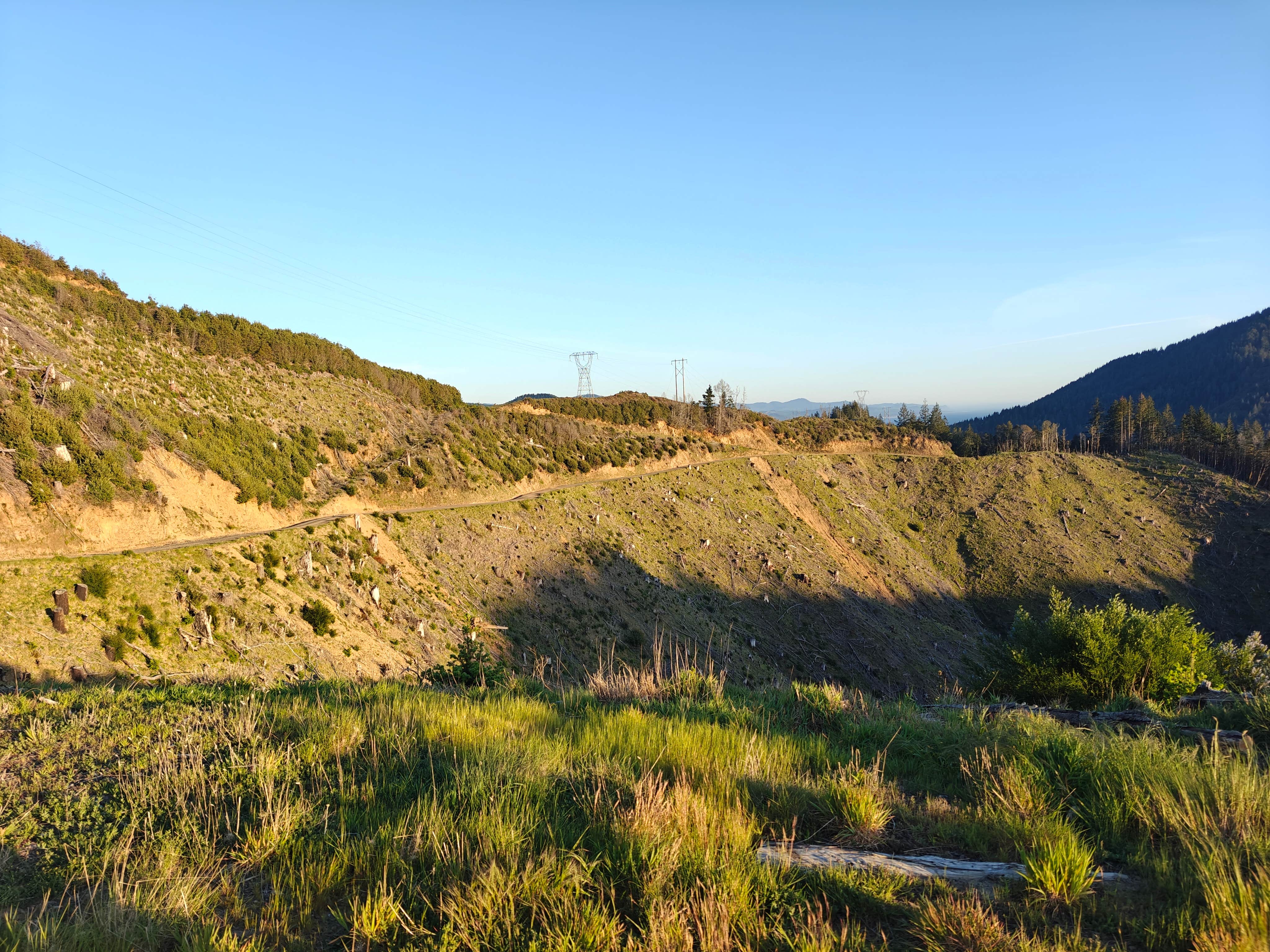 Camper-submitted photo at Forrest Road 280 near Humbug near Gold Beach, OR