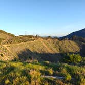 Review photo of Forrest Road 280 near Humbug by Joshua C., May 6, 2025
