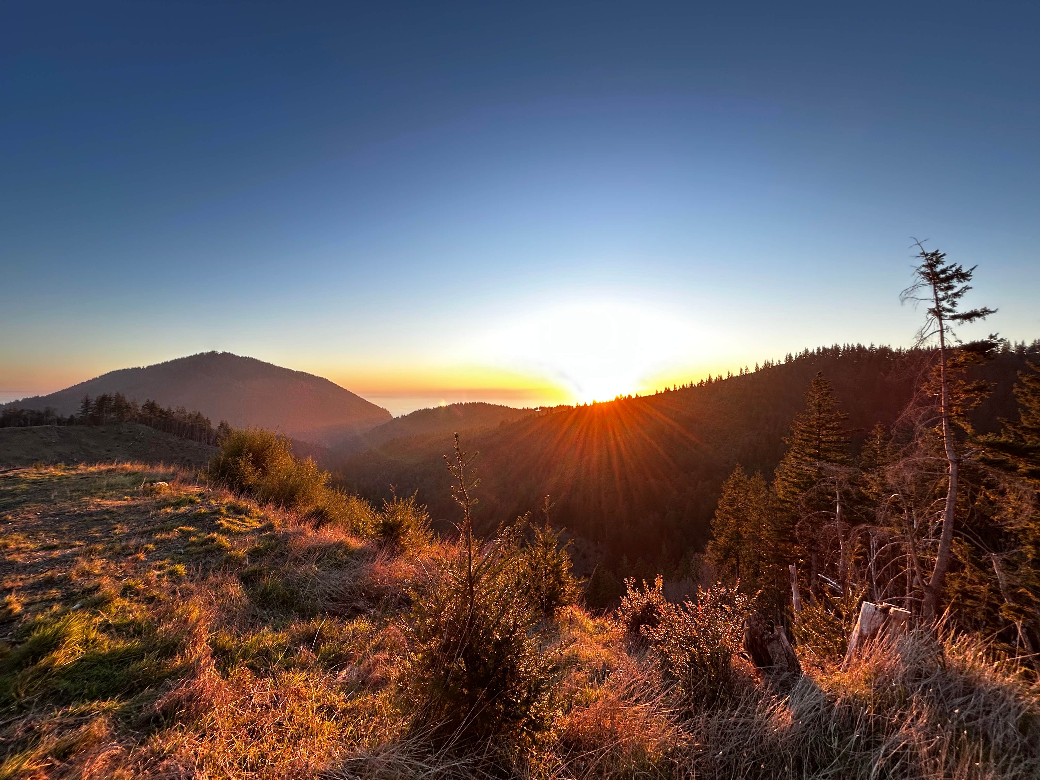 Camper-submitted photo at Forrest Road 280 near Humbug near Sixes, OR