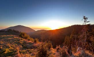 Brian K.'s photo of a dispersed camping area at Forrest Road 280 near Humbug near Gold Beach, OR